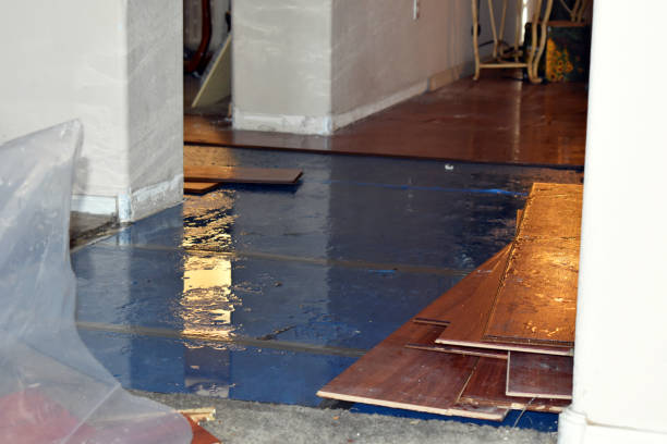 Professional Burst Pipe Cleanup technician working in Courtenay, ND